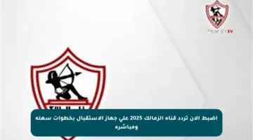 اضبط الآن تردد قناة الزمالك 2025 على جهاز الاستقبال بخطوات سهلة ومباشرة